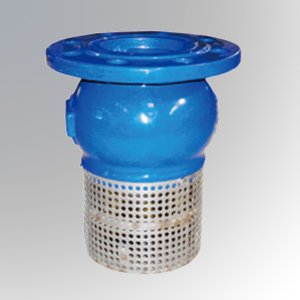 Foot Valve
